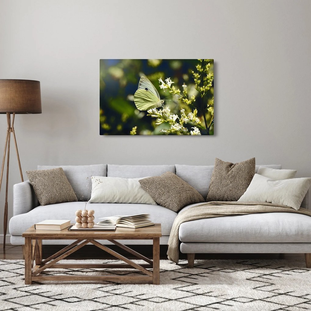Pillangó képe (90x60 cm)