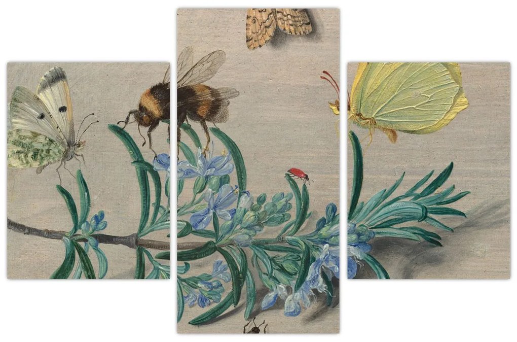 Kép - Jan van Kessel the Elder, Insects and a Sprig of Rosemary, reprodukciók (90x60 cm)