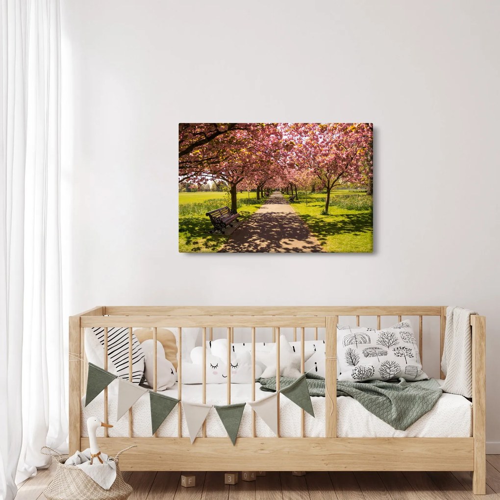 Kép - cseresznye ültetvény (90x60 cm)