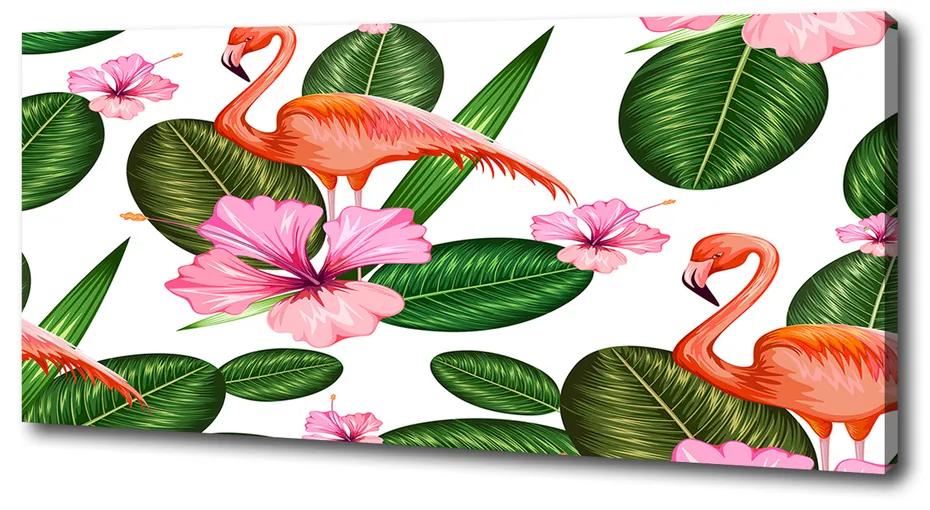 Vászonkép Flamingók és növények pl-oc-125x50-f-111415248