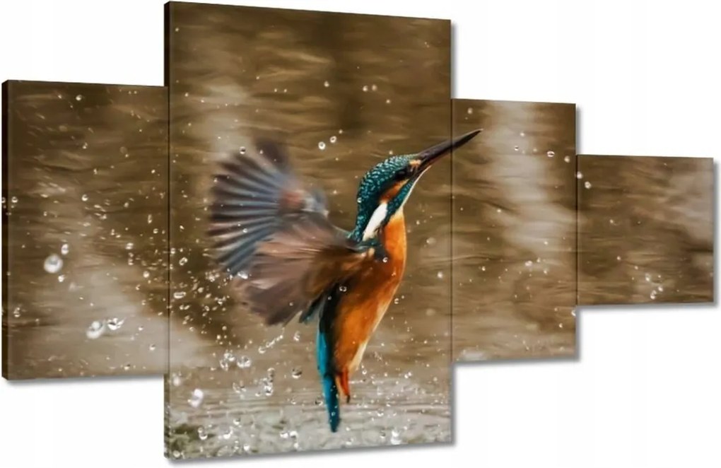 Vászonkép 130x80 Vízivó madár Madár