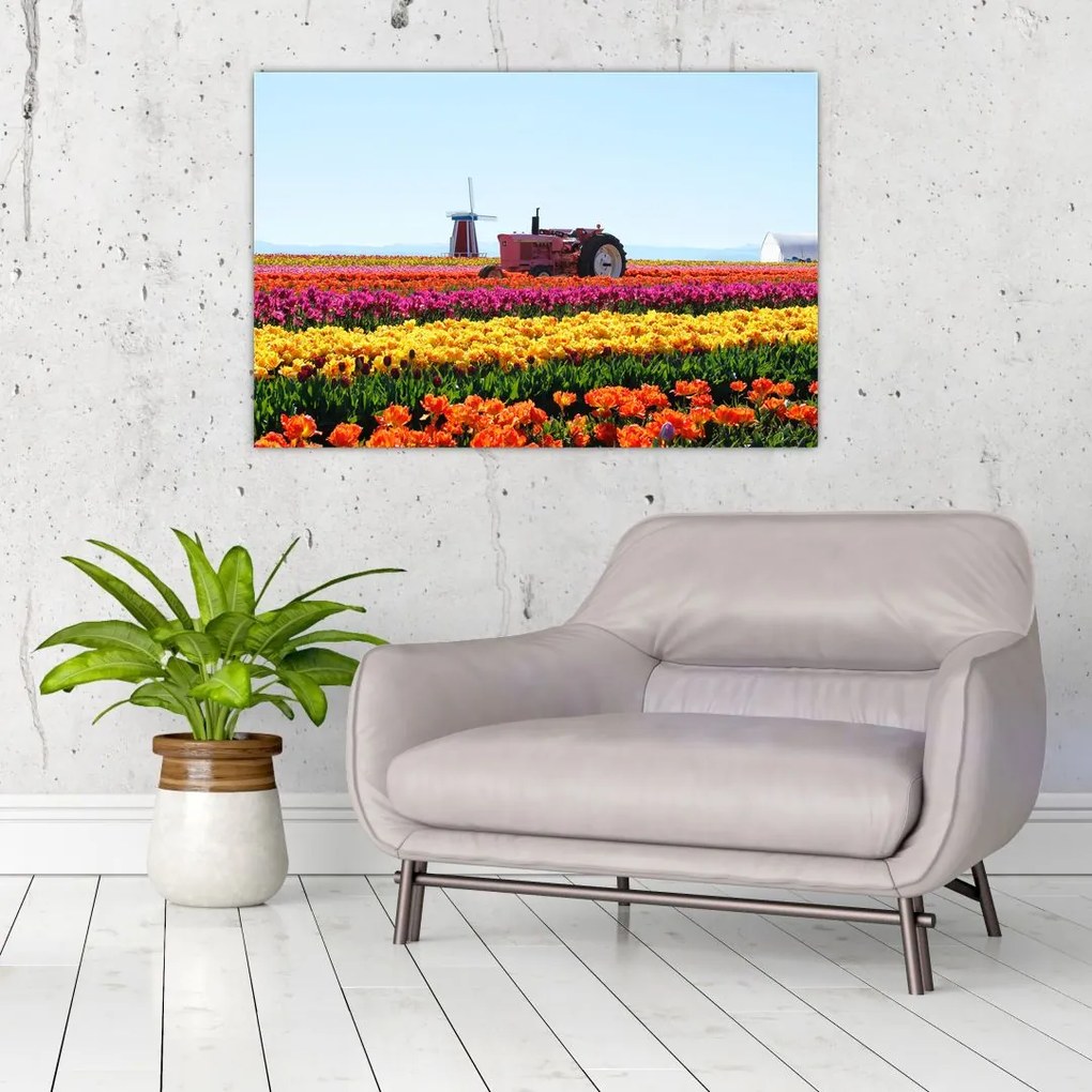 Tulipánfarm képe (90x60 cm)