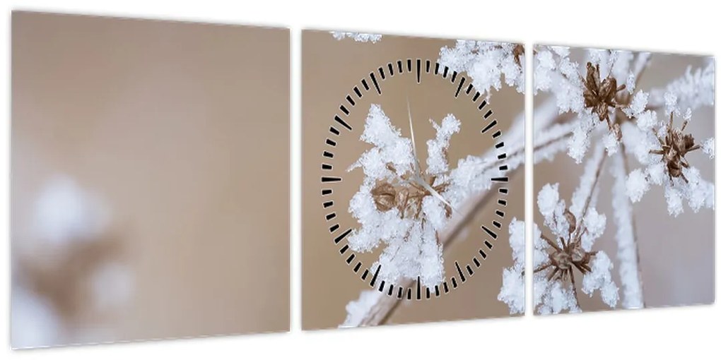 Kép - Fagy (órával) (90x30 cm)