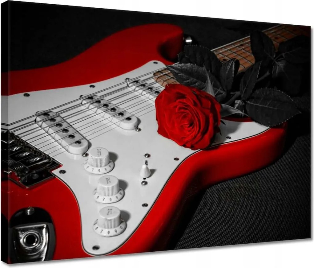 Vászonkép 40x30 Rózsa Elektromos gitár