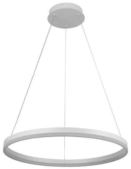 Brilagi - LED fényerőszabályozható, kábelre függesztett csillár CIRCLE LED/42W/230V 3000-6500K + távirányító