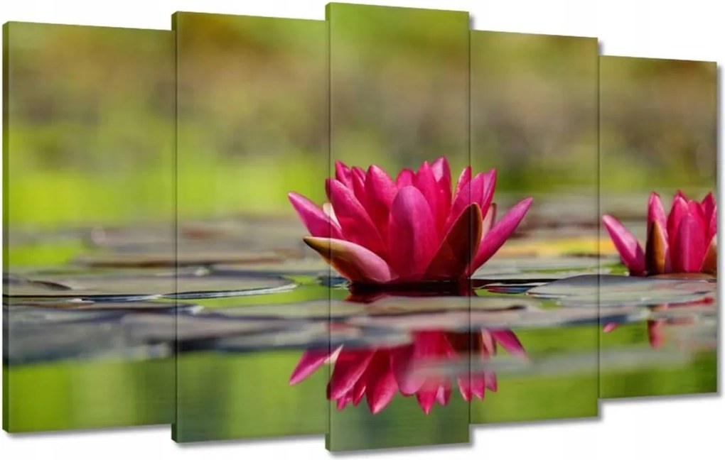 Vászonkép 100x60 Vízi liliom