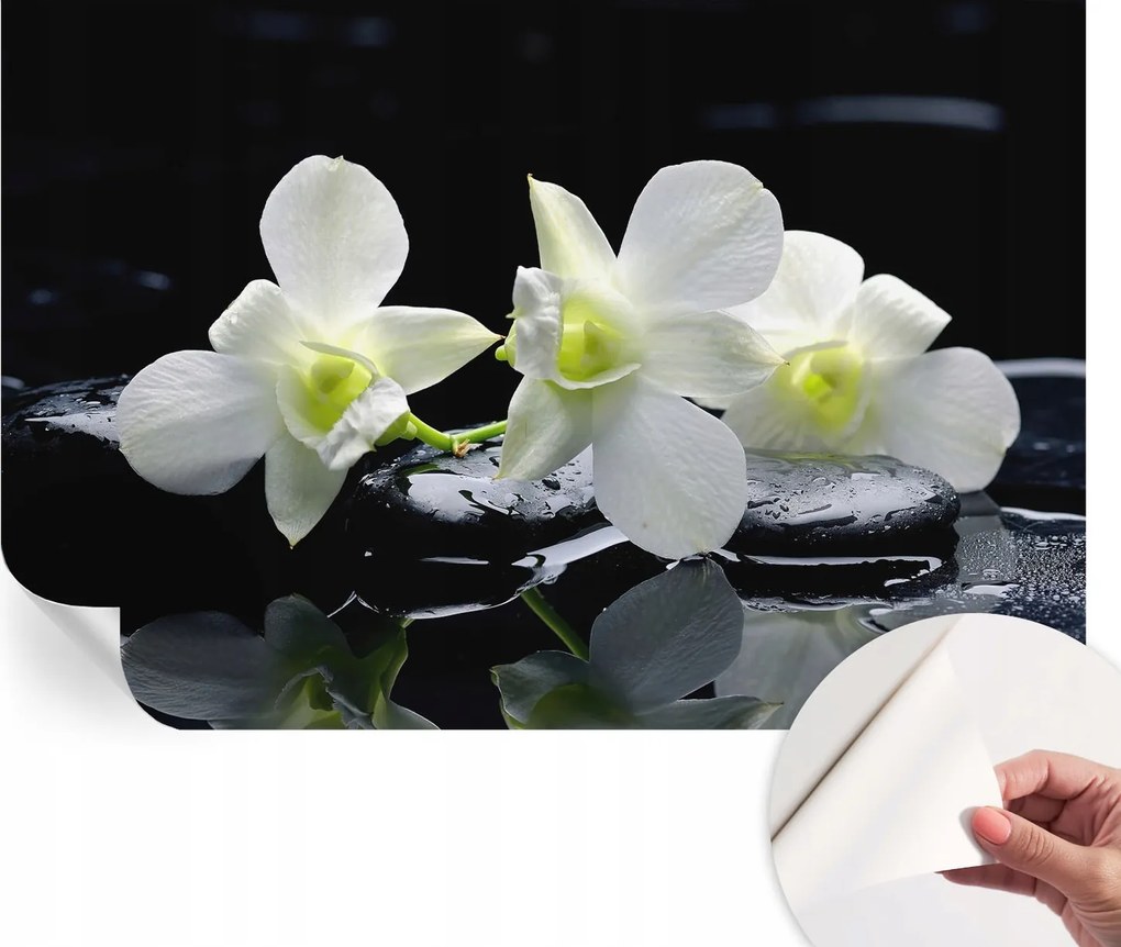 Öntapadós fali fotótapéta Hálószobába Virágok kövek 104x70 cm