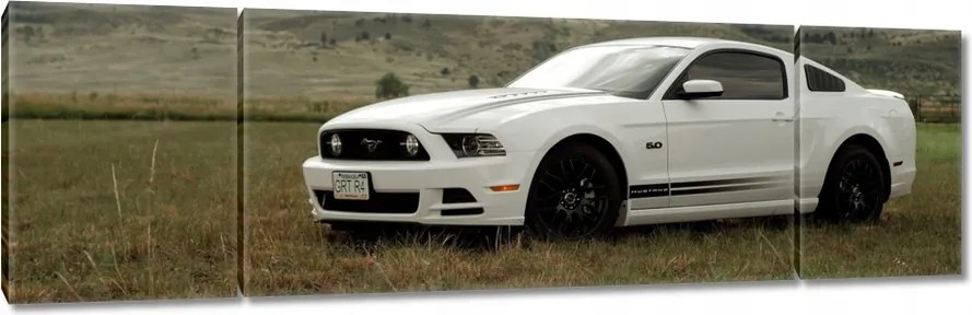 Vászonkép 170x50 Fehér Ford Mustang