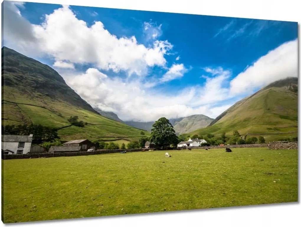 Festmények 120x80 Juh legeltetés