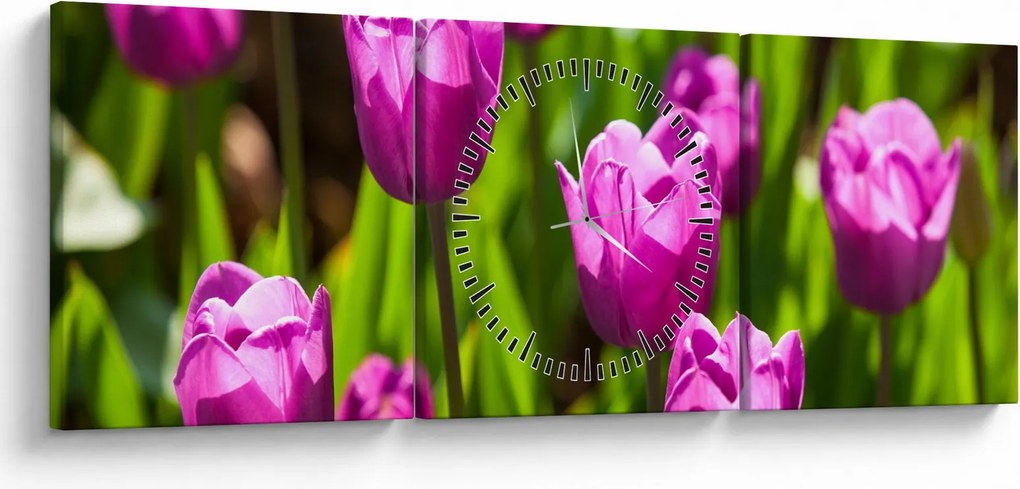 Tulipánok a réten képe (órával) (90x30 cm)