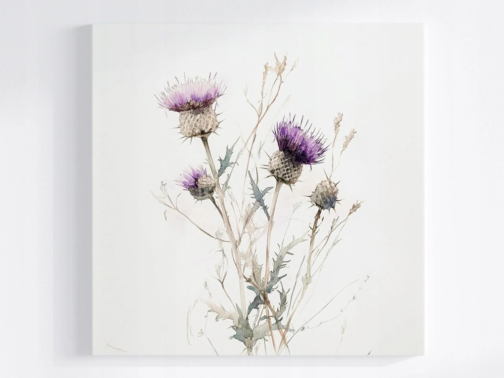 Poszter Akvarell Természet Lila Bogáncs Virág Rét 40x40