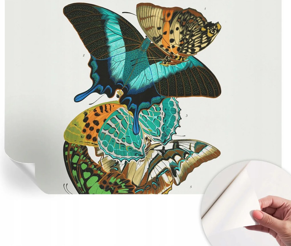 Modern öntapadós fali fotótapéta Színes pillangók 208x146 cm