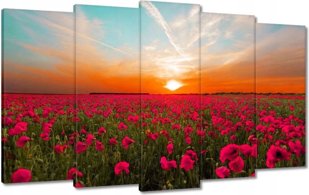 Vászonkép 100x60 Rózsaszín pipacsok Naplemente