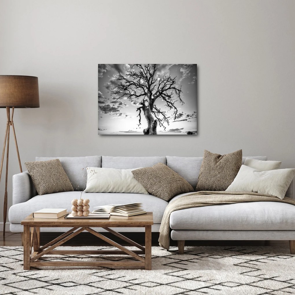 Kép - fekete fehér fa (70x50 cm)