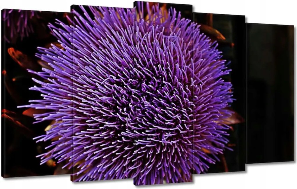 Vászonkép 100x60 Virág Lila Csipkebogyó