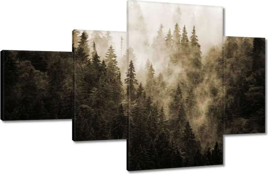 Festmények 130x80 Tájkép Szépia Hegyek Köd