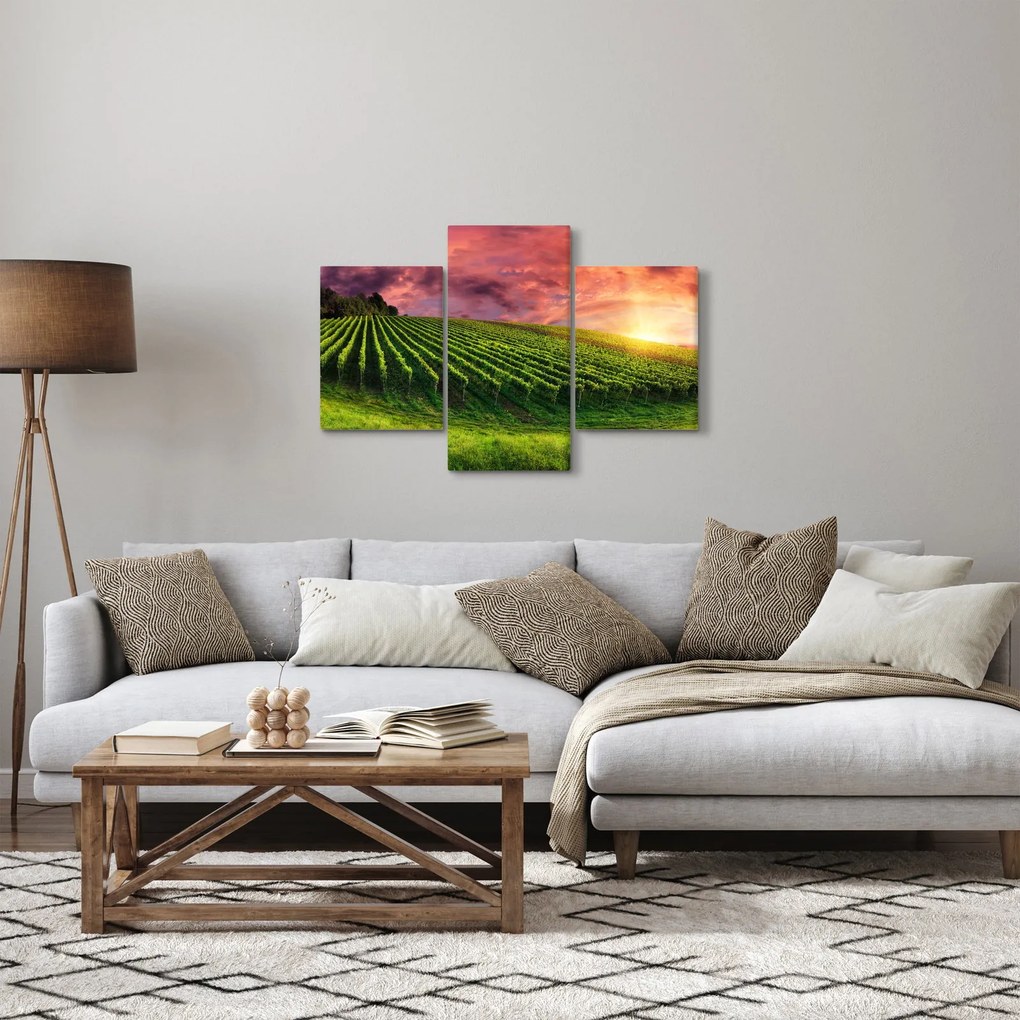Szőlőskert és a színes égbolt képe (90x60 cm)