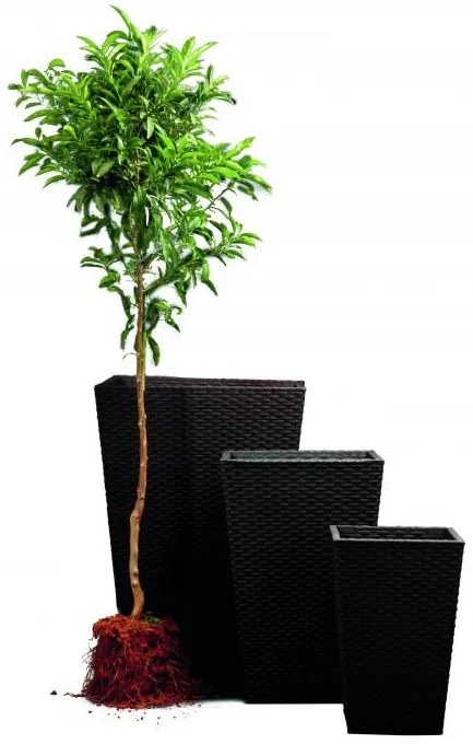 Keter Rattan kaspó M 55,4 l grafit
