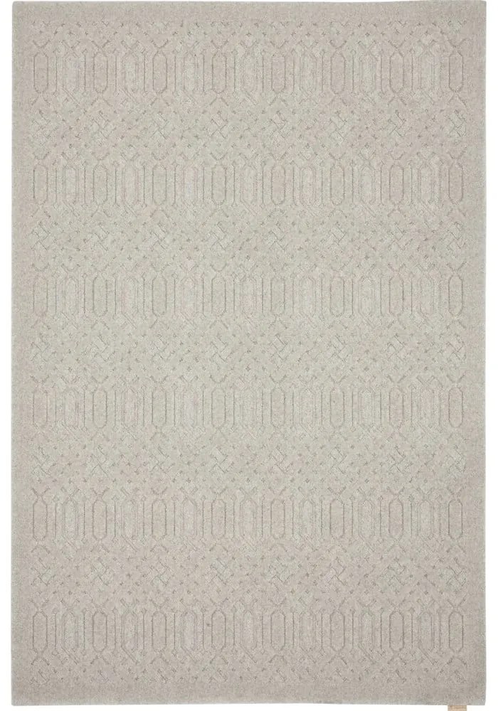 Világosszürke gyapjú szőnyeg 160x230 cm Dive – Agnella