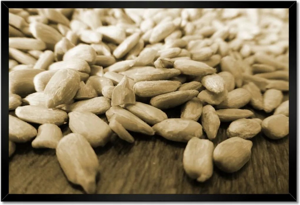 Poszter keretben 60x40 Hántolt napraforgó