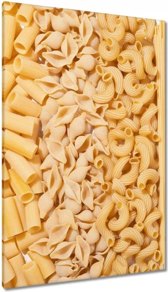 Festmények 80x120 Tészta típusok pasta
