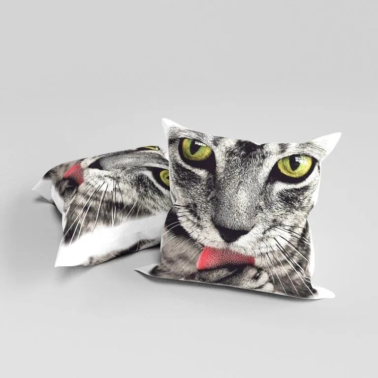Dekoratív párnahuzat 45x45 Cica kétoldalas