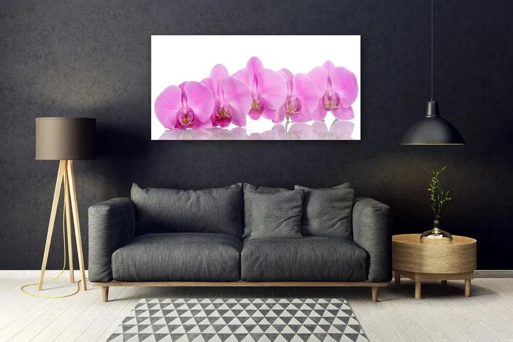 Modern üvegkép Rózsaszín orchidea virágok 100x50 cm