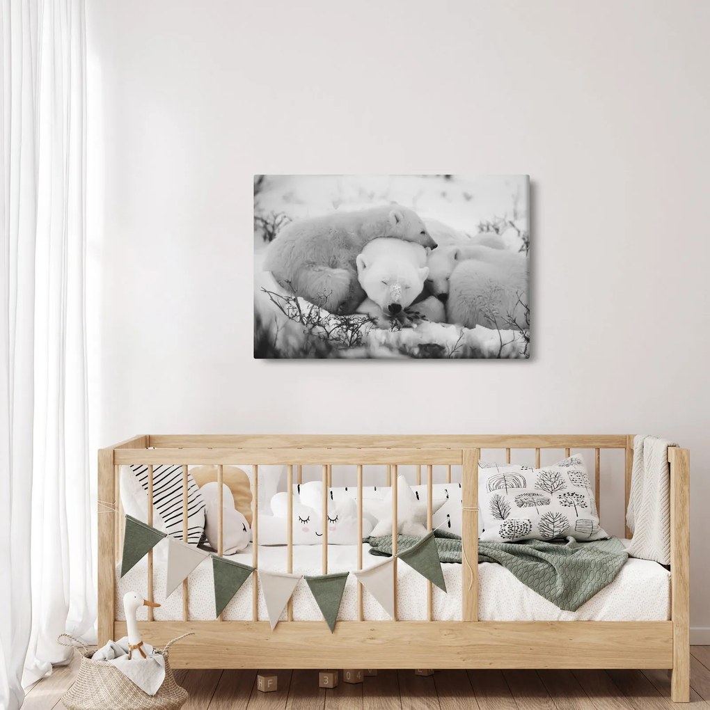 Kép - Jegesmedvék (90x60 cm)
