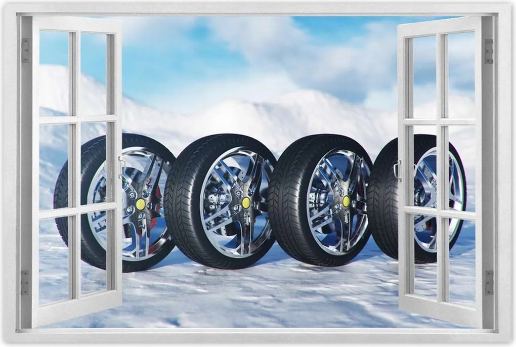 Poszterek 60x40 Nyári gumiabroncsok a hóban