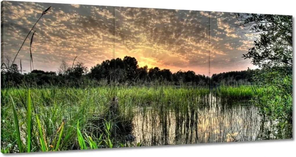 Festmények 120x60 Lápvidék