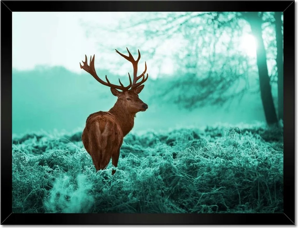 Poszterek keretben 40x30 Szarvas a türkiz erdőben