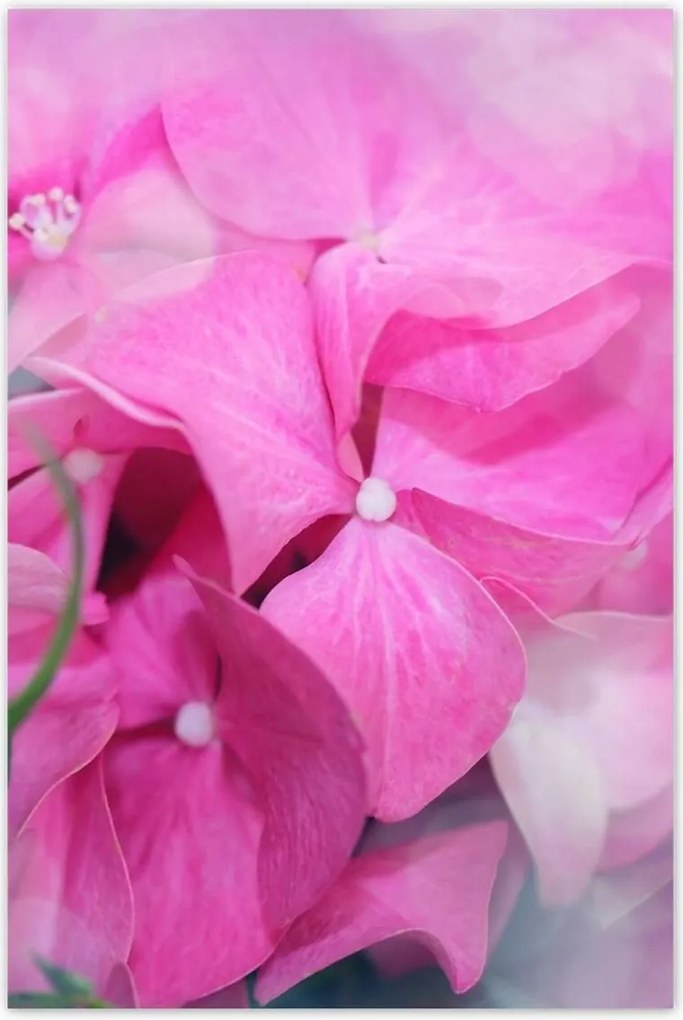 Poszterek 80x120 Nőnap Ajándék Love