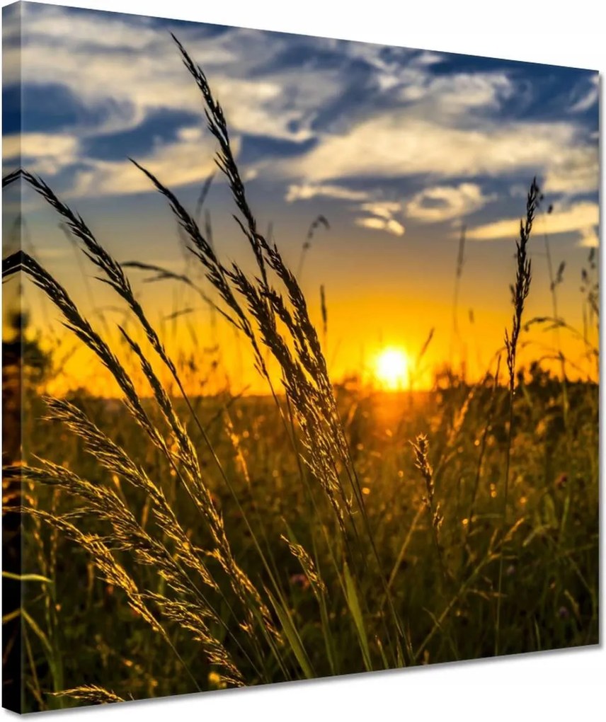 Vászonkép 30x30 Naplemente a fű között