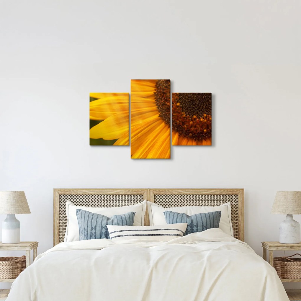 Kép - Napraforgók (90x60 cm)