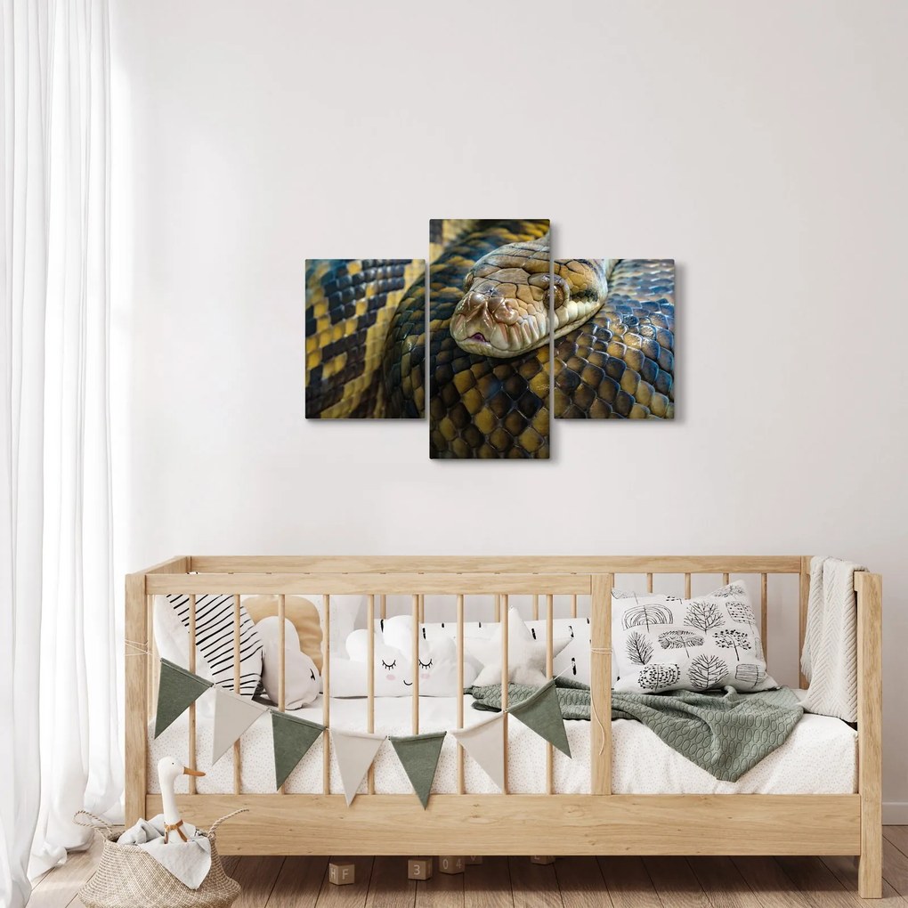 Kép - Piton (90x60 cm)