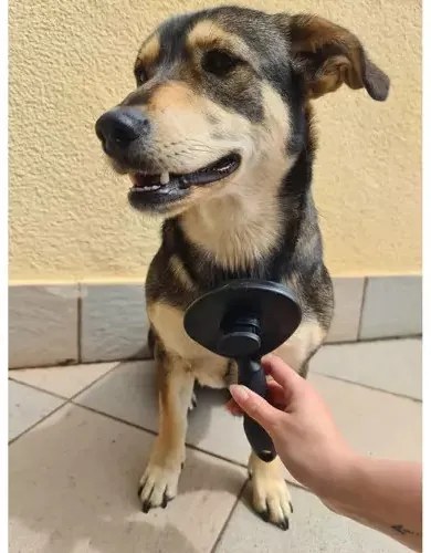 Self-cleaning fur brush