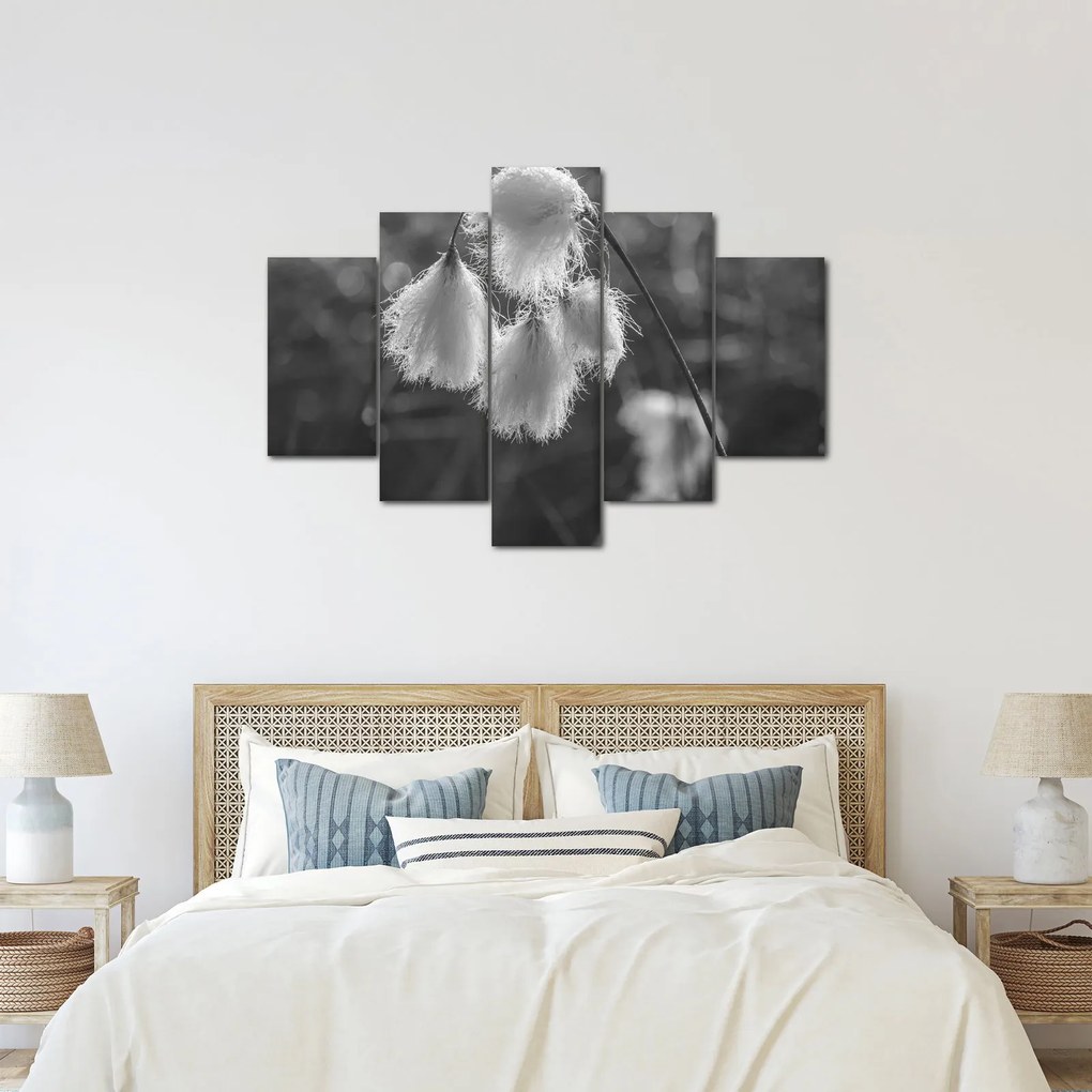Kép - Cottongrass (150x105 cm)