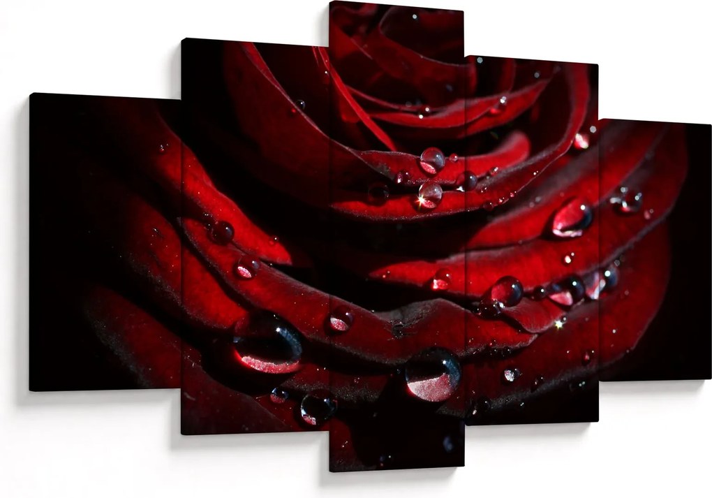 Kép - Rózsa részlete (150x105 cm)