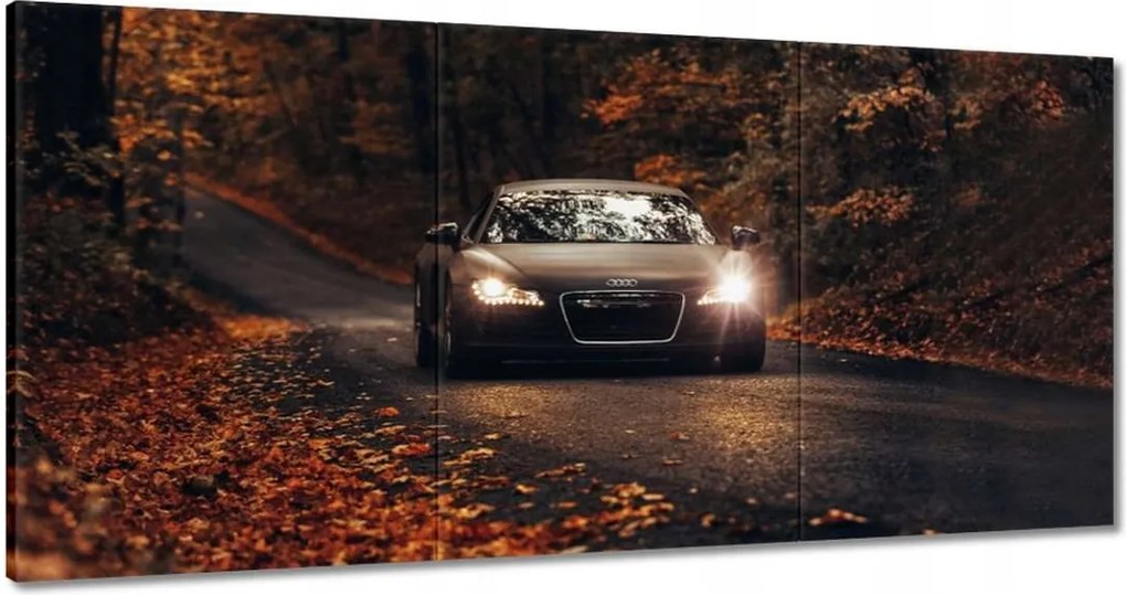 Festmények 180x90 Audi Őszi tájkép