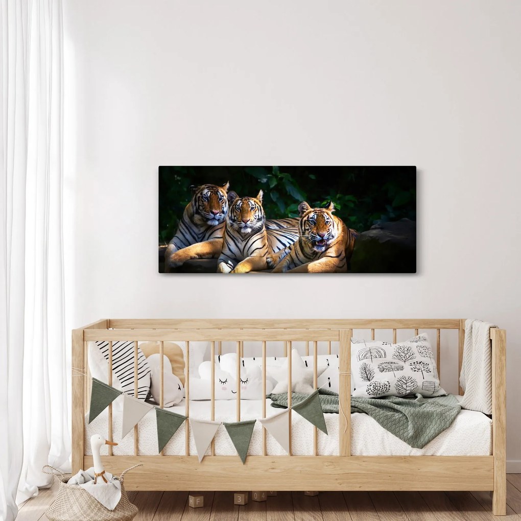 Kép - Tigris testvérek (120x50 cm)