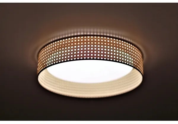 Duolla - LED Mennyezeti lámpa ROLLER LED/24W/230V átm. 45 cm rattan