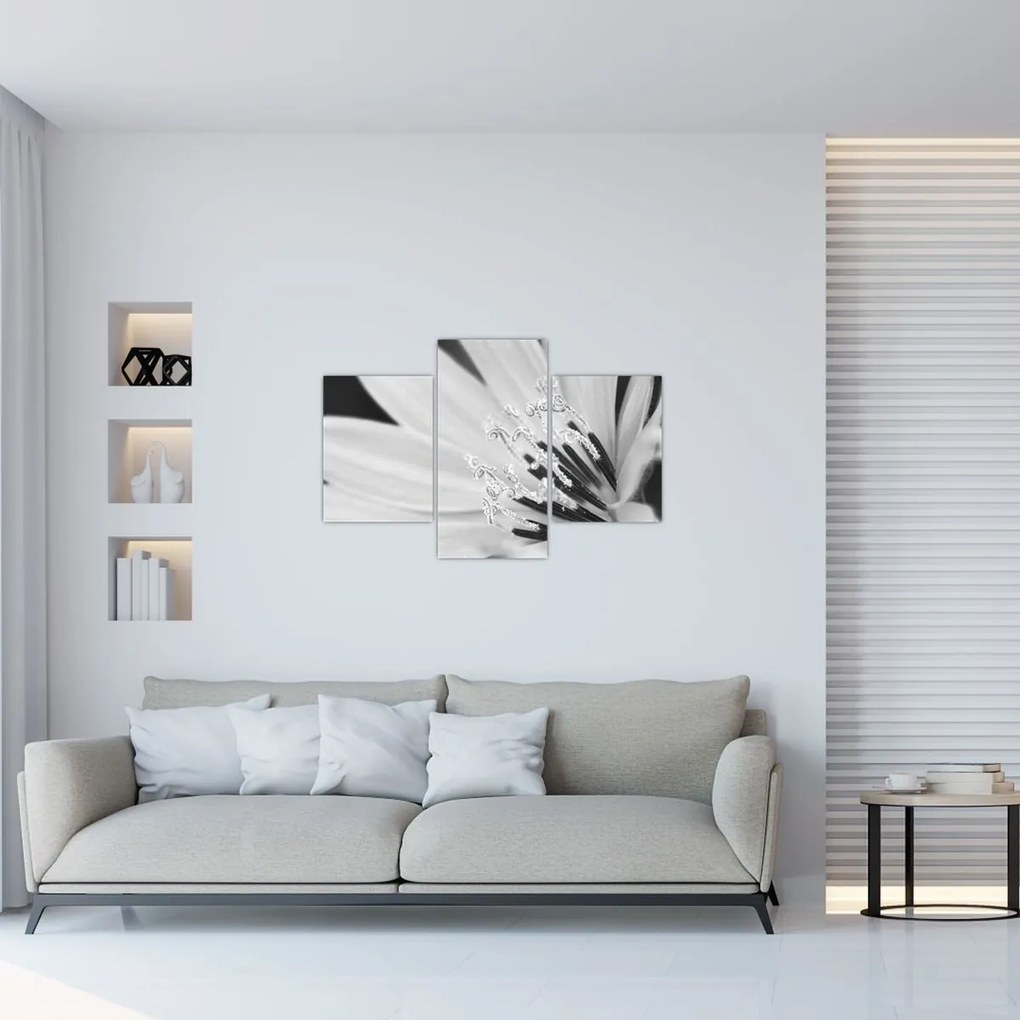 Kép - Fekete-fehér virág (90x60 cm)