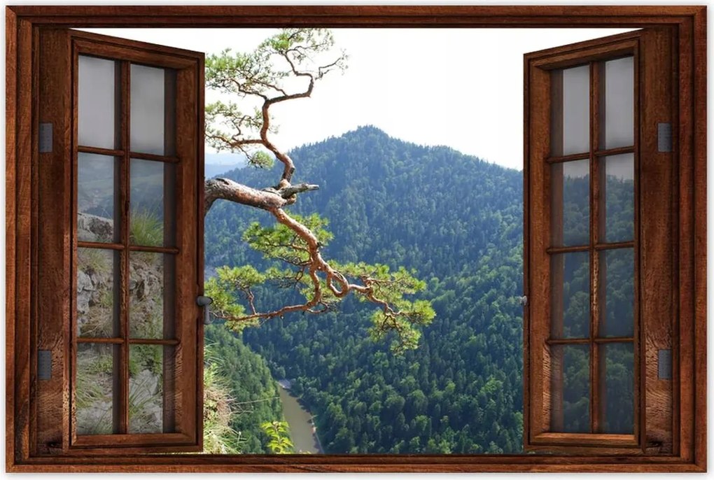 Poszterek 60x40 Magányos fa