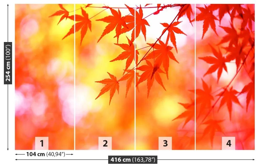 Fotótapéta narancssárga levelek 104x70 cm