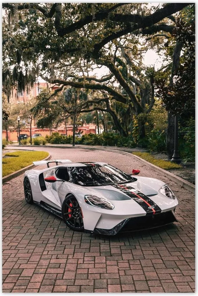 Poszterek 80x120 Ford autó