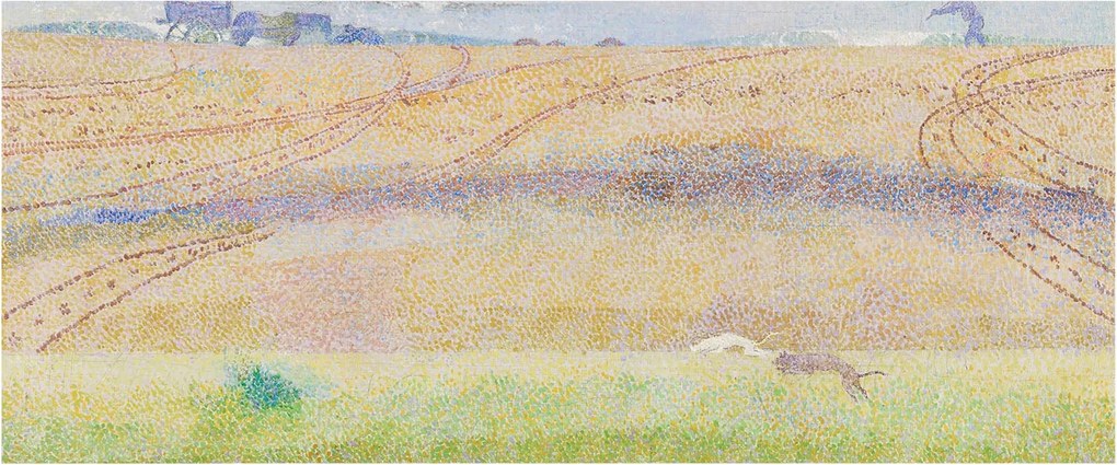 Flizelin fotótapéta Flizelin Design Nyári mező 250x104 Ragasztó