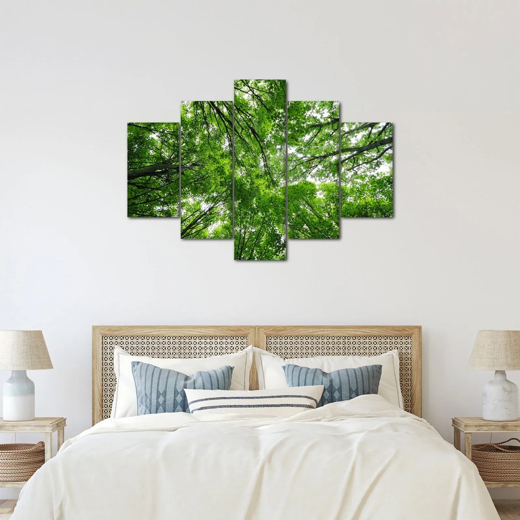 Kép - Kilátás a fák tetejére (150x105 cm)