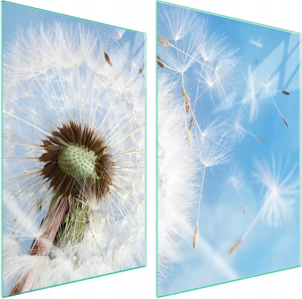 7in1 Üveg védőlap tűzhelyhez 2x35x52 Virág