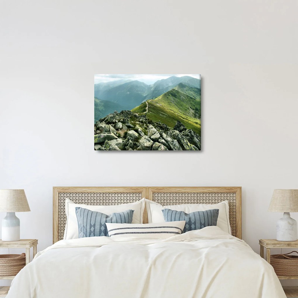 Kép - Hegyi táj (70x50 cm)