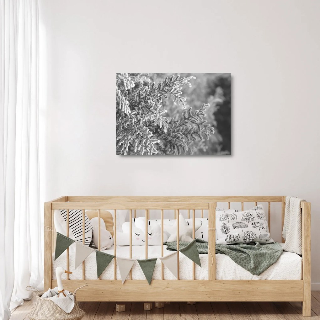 Üveg kép - Lucfenyő erdő (70x50 cm)
